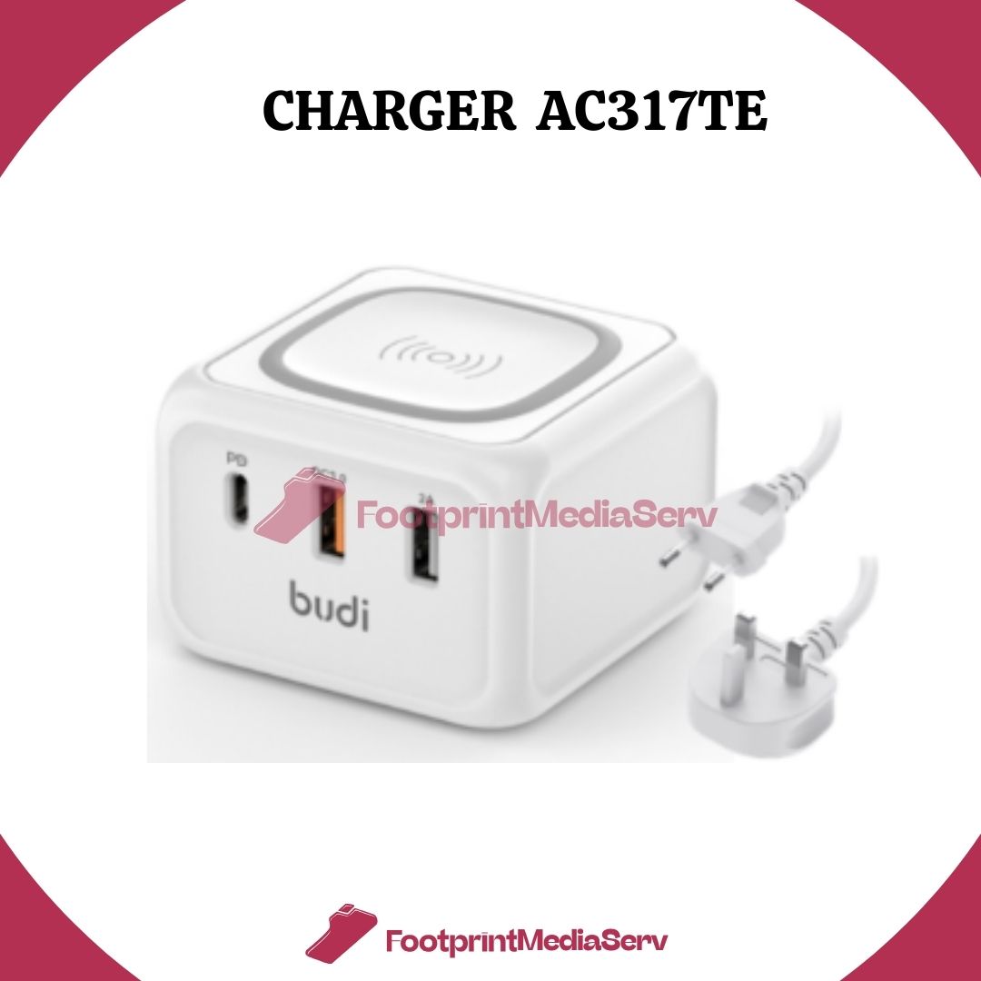 Budi Charger AC317TE